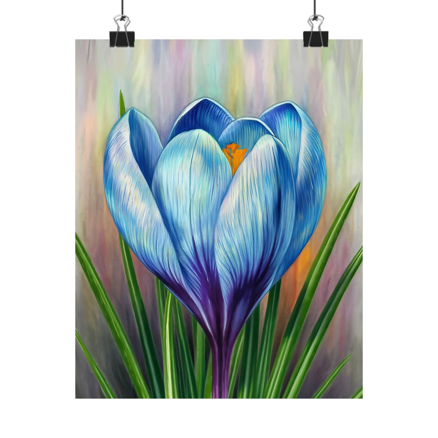 Blooming Crocus Flower Poster