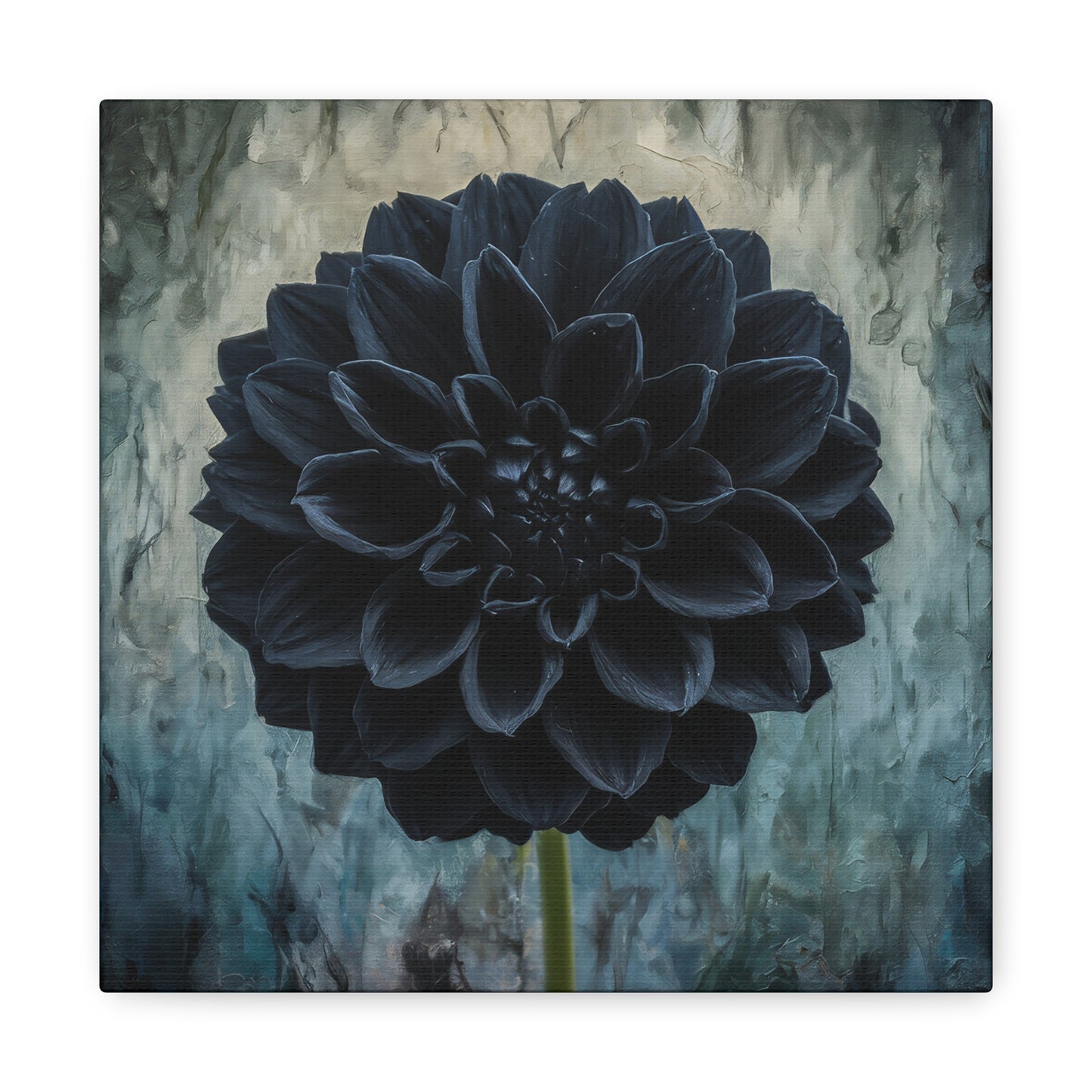 Black Dahlia Canvas Wall Art