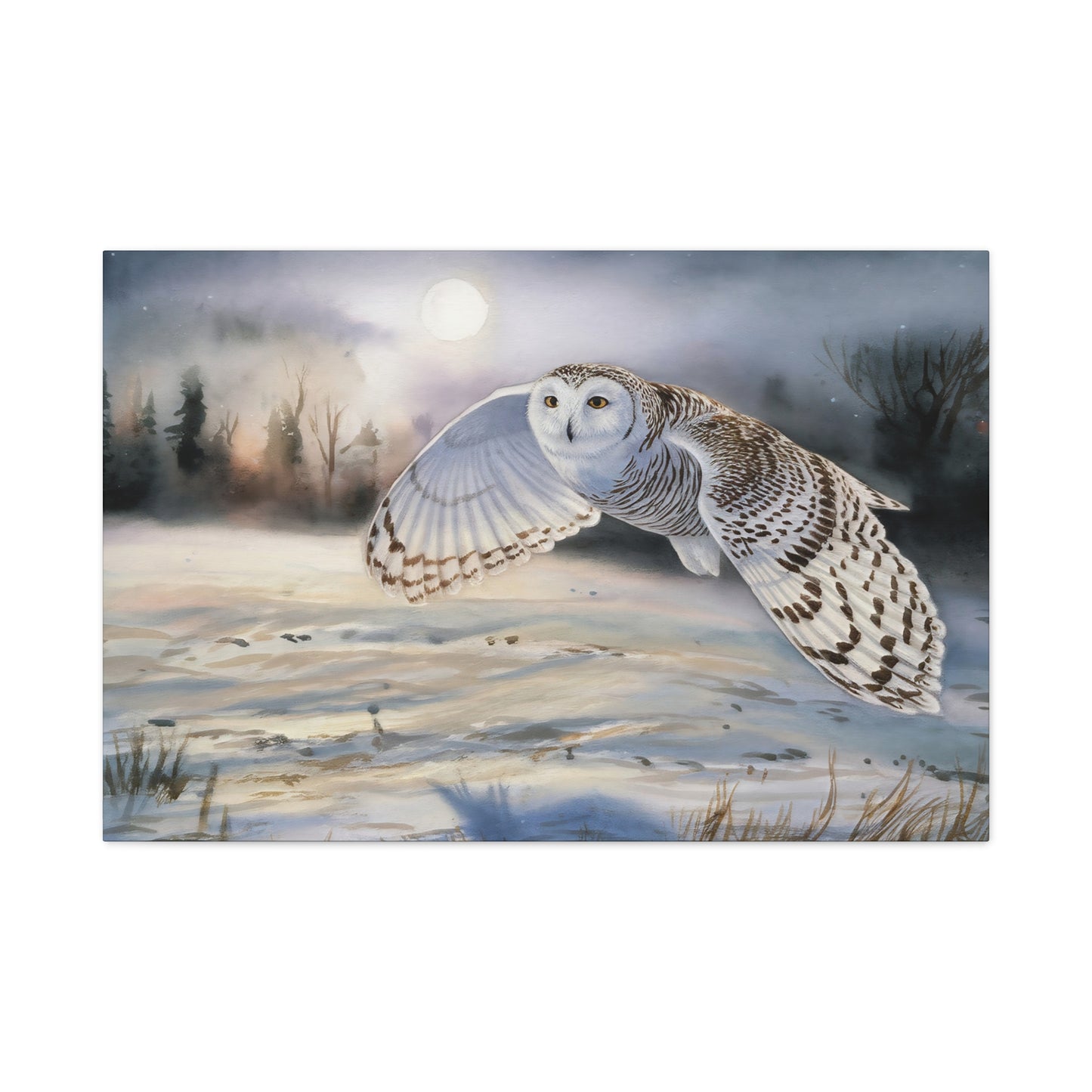 Snow Owl Canvas Print