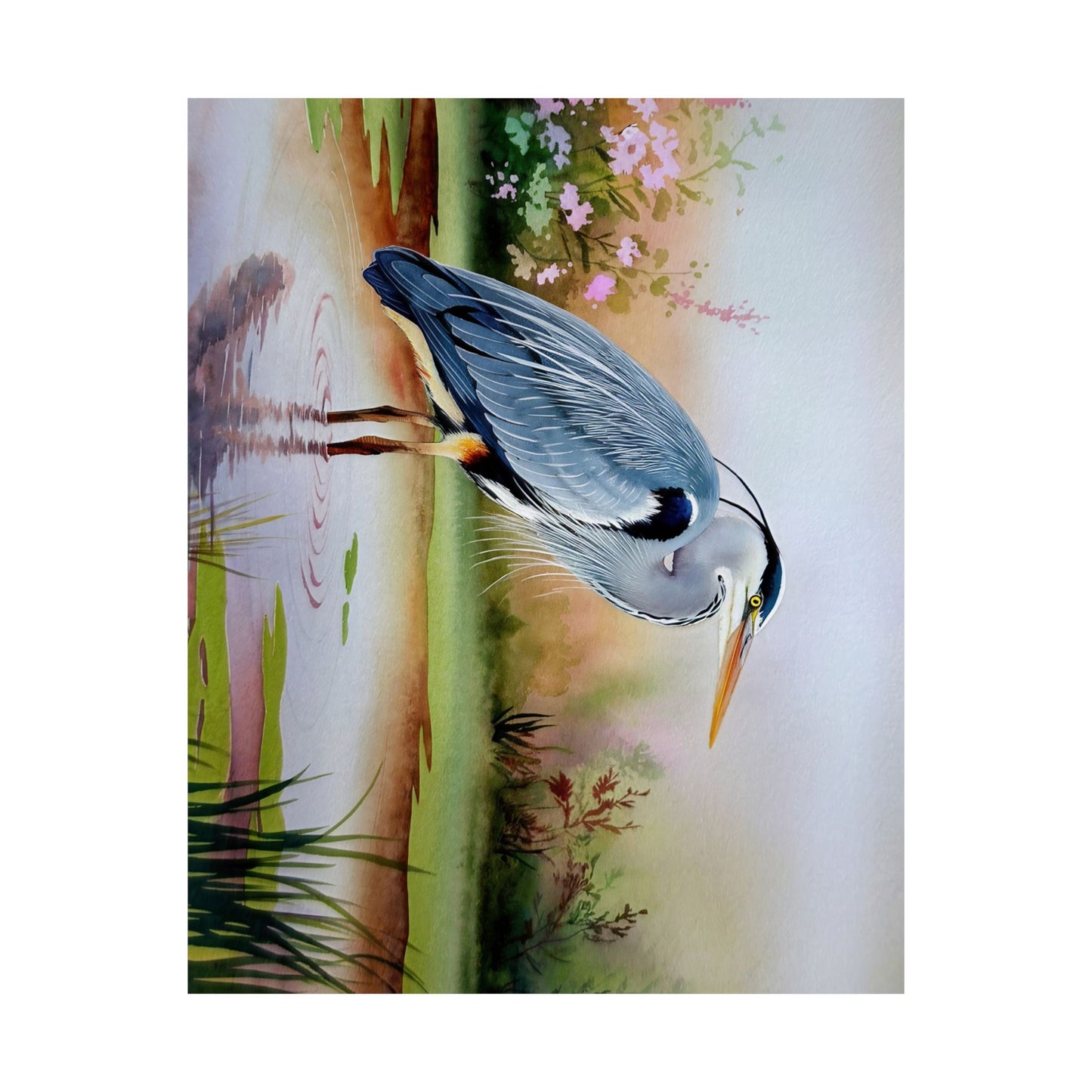 Blue Heron Standing In Water Watercolor Poster