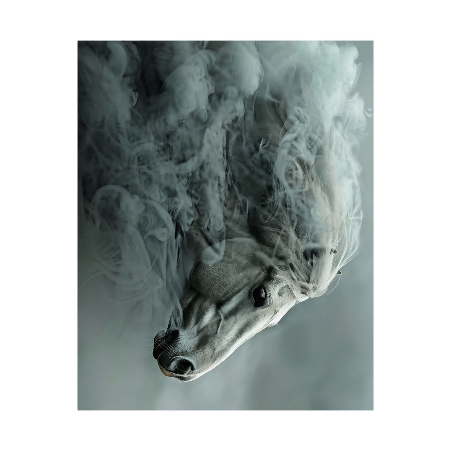Ethereal Horse In Mist Poster