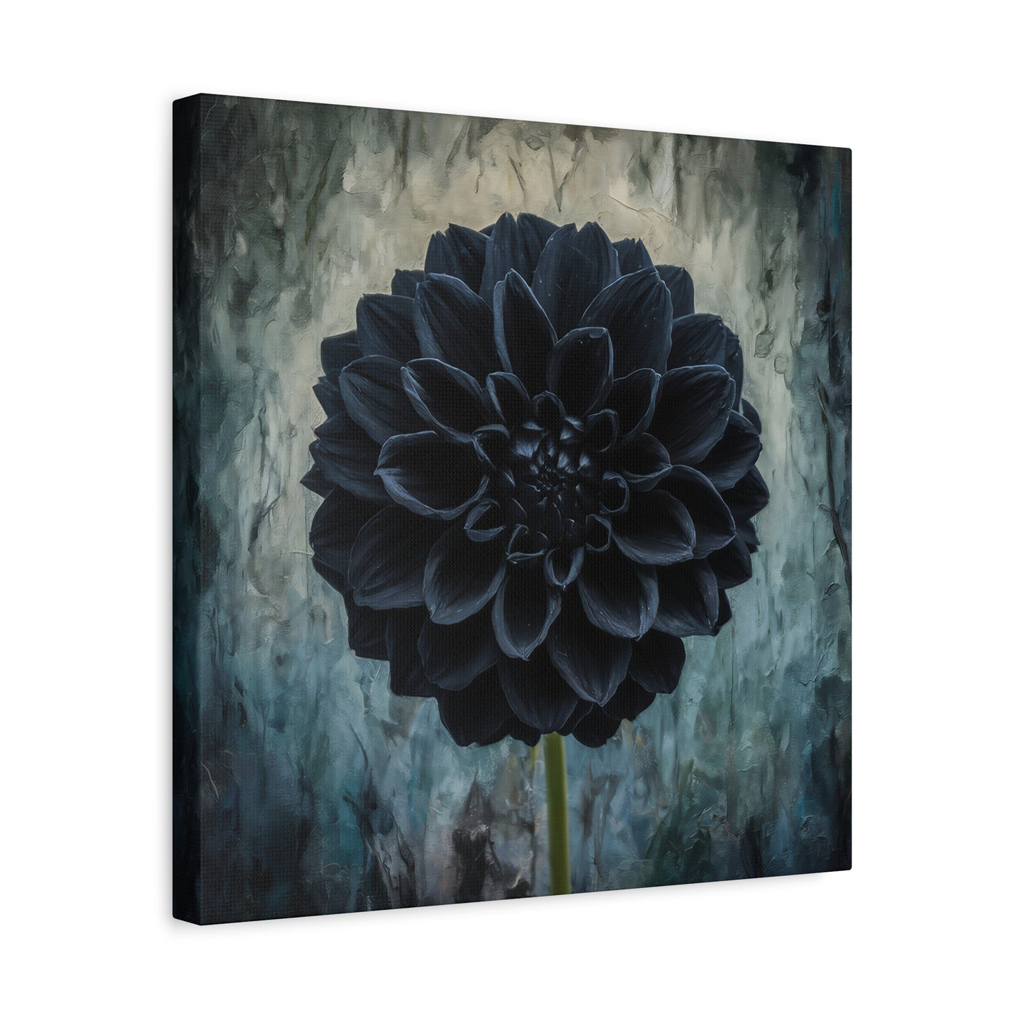 Black Dahlia Canvas Wall Art