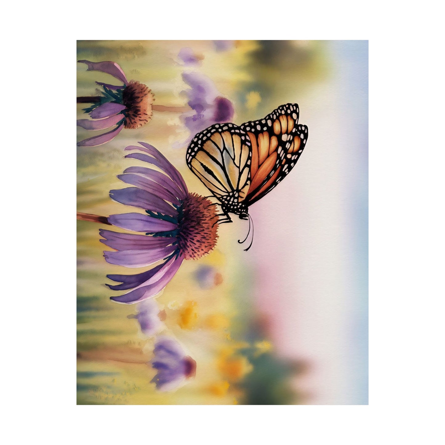 Butterfly On Coneflower Watercolor Poster