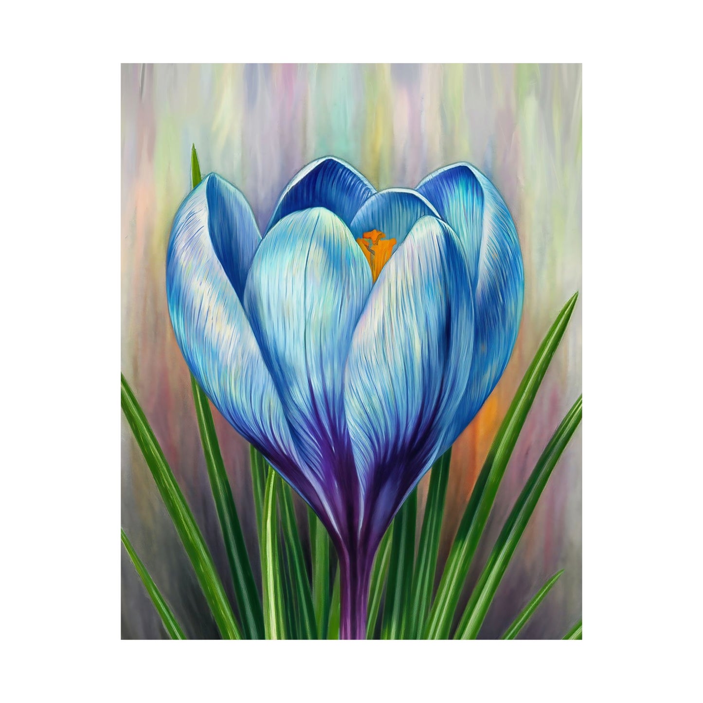 Blooming Crocus Flower Poster