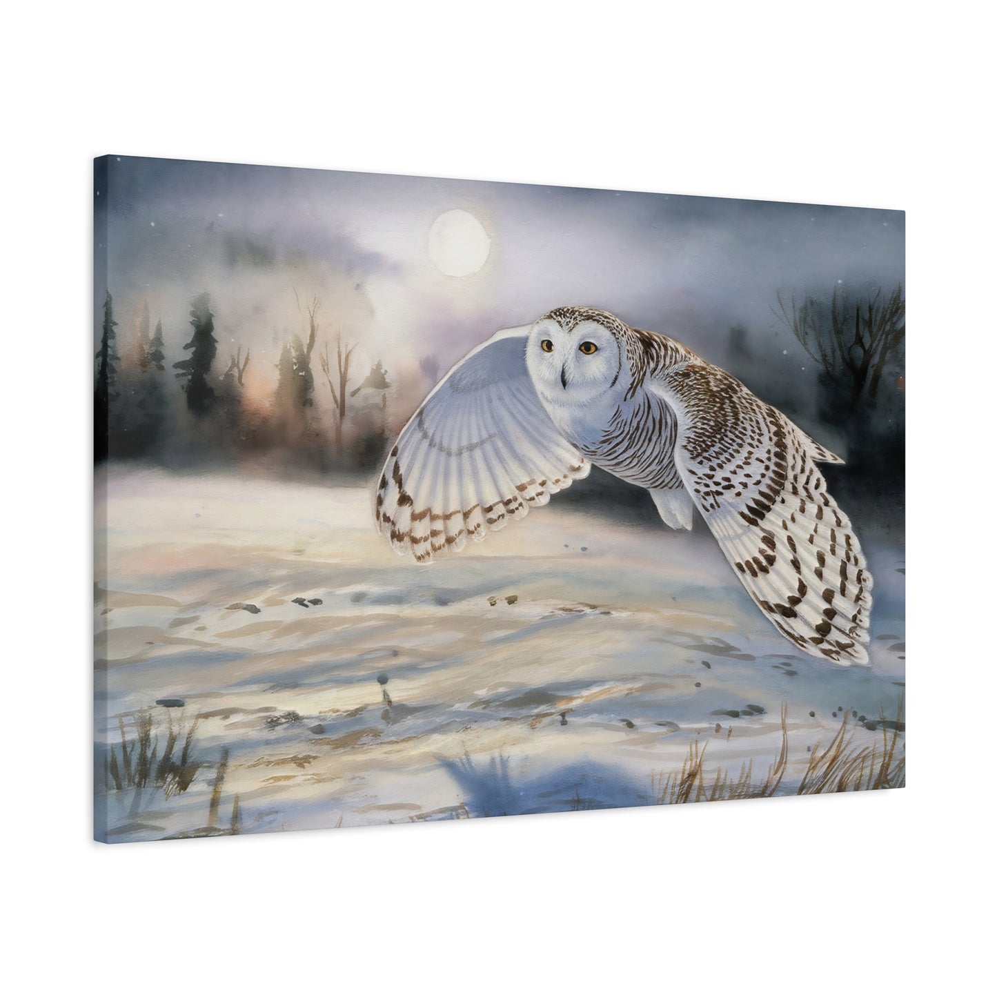 Snow Owl Canvas Print