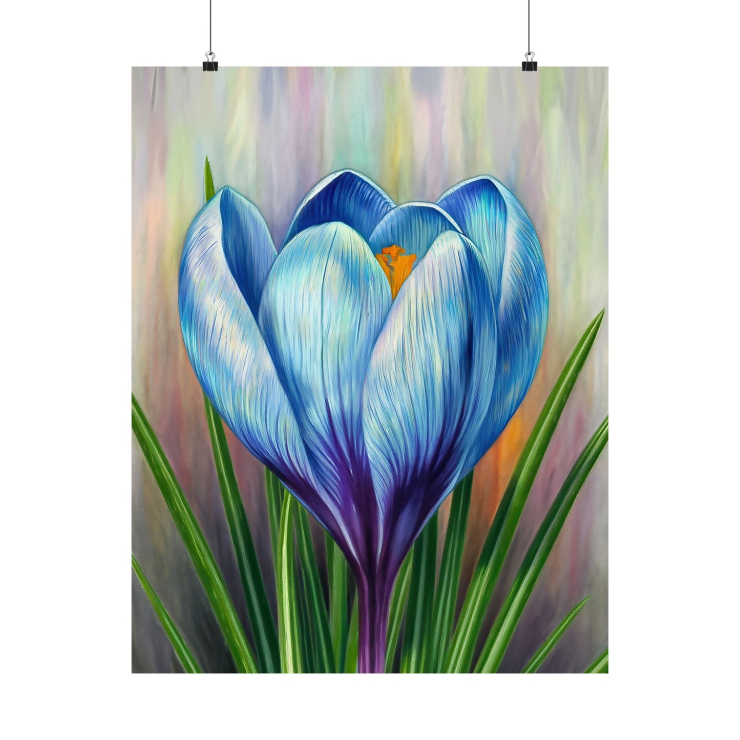 Blooming Crocus Flower Poster