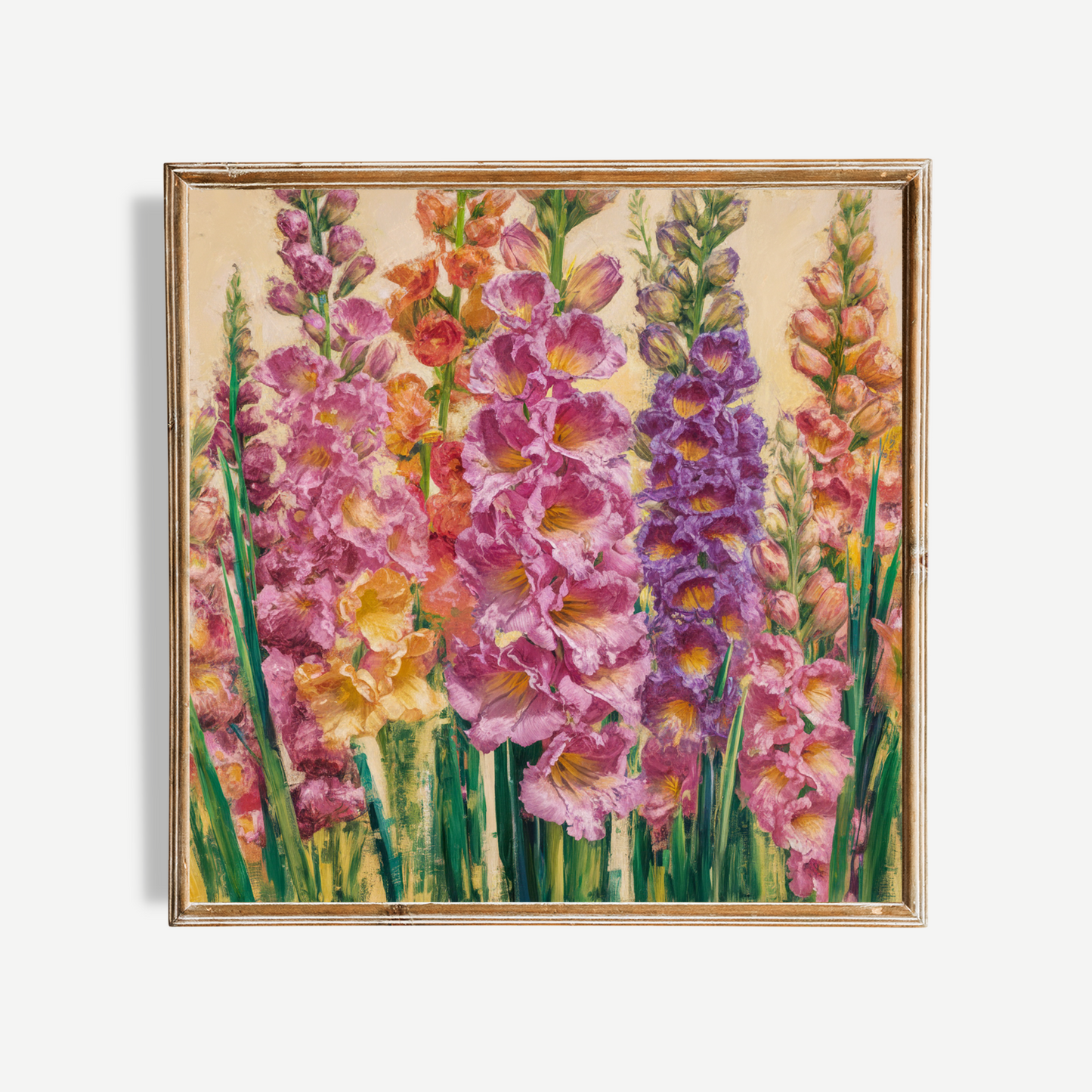 Gladiolus Flowers Poster