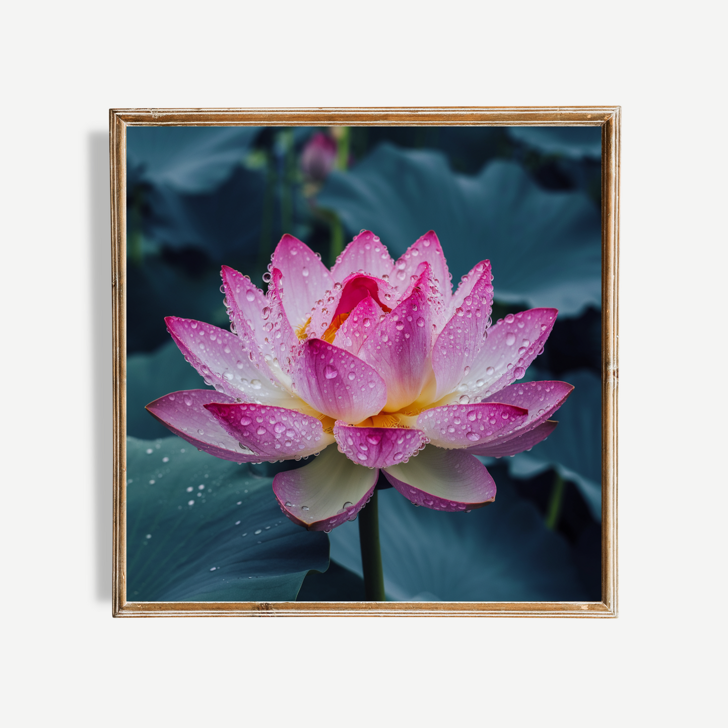 Pink Lotus Flower Poster