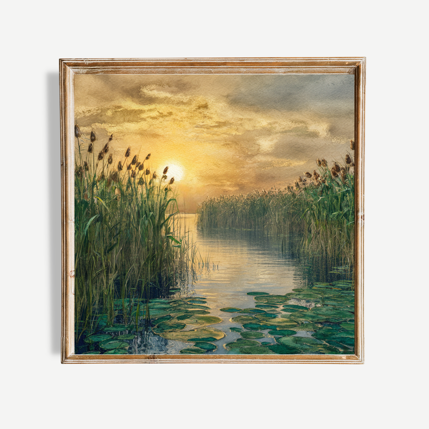 Water Lily Poster