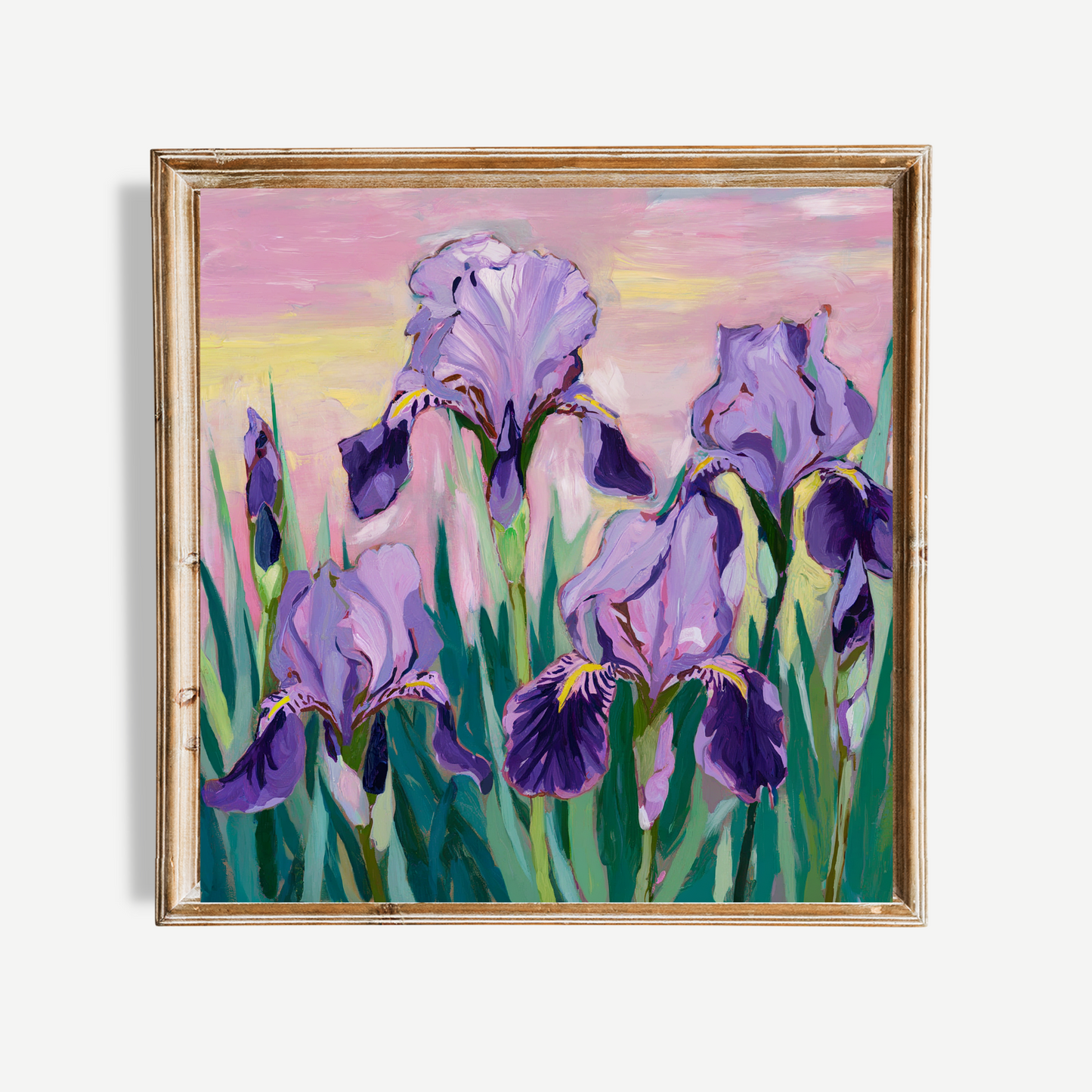 Purple Iris Poster