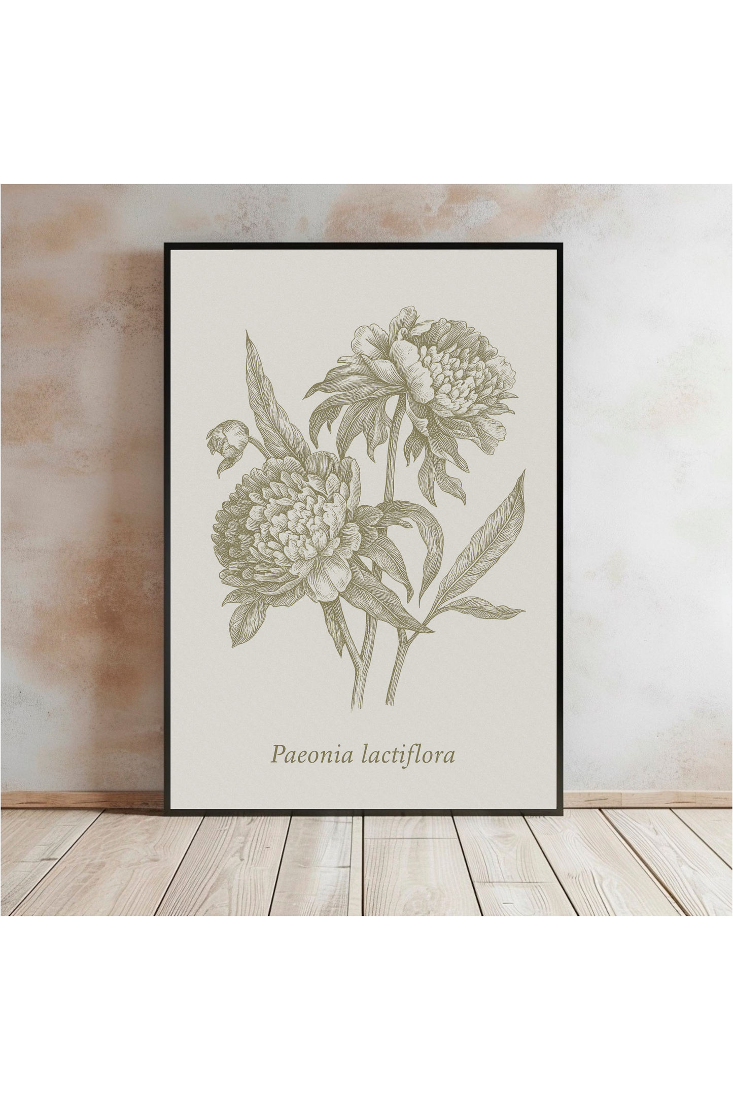 Vintage Peony Botanical Poster Wall Art for Garden and Nature Lovers