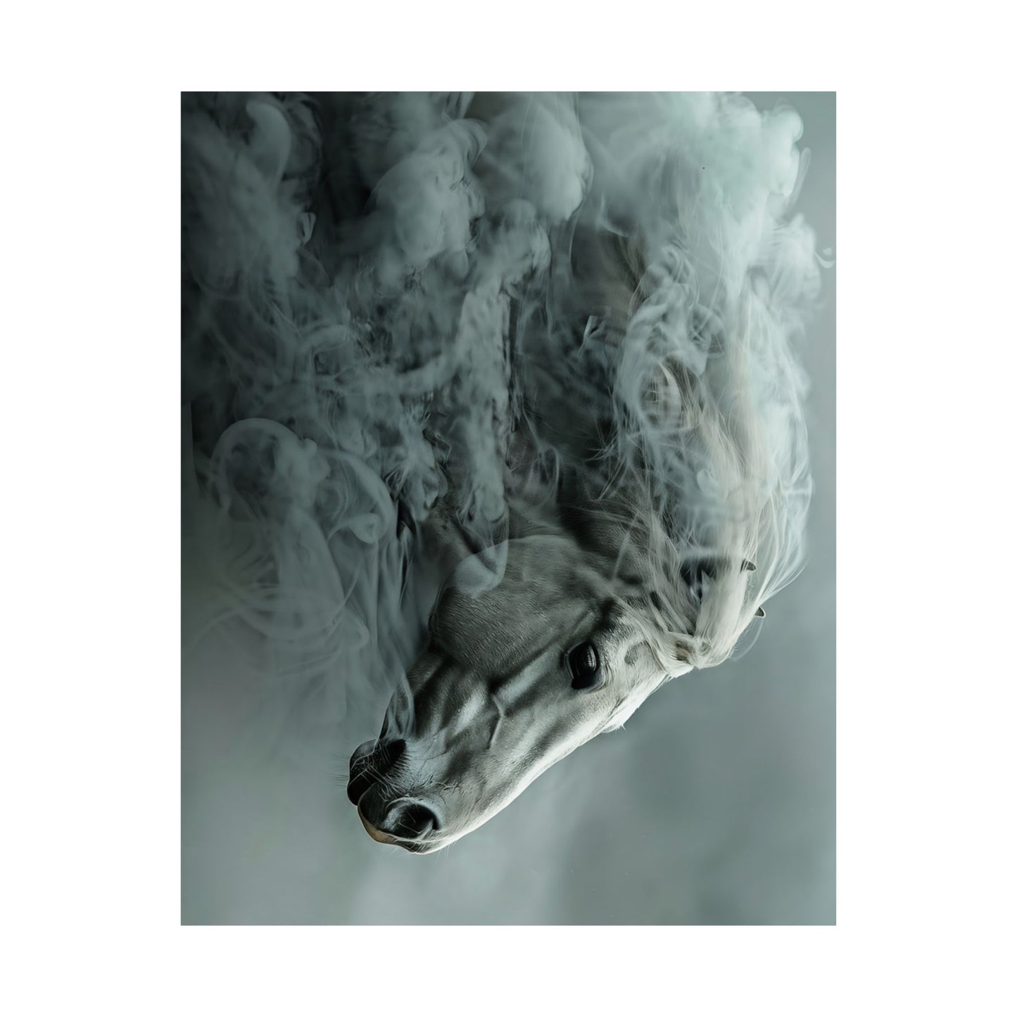 Ethereal Horse In Mist Poster