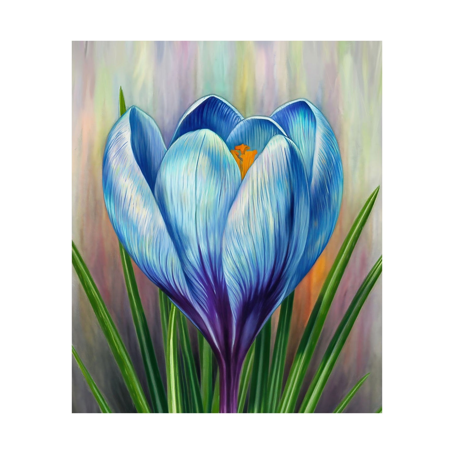 Blooming Crocus Flower Poster