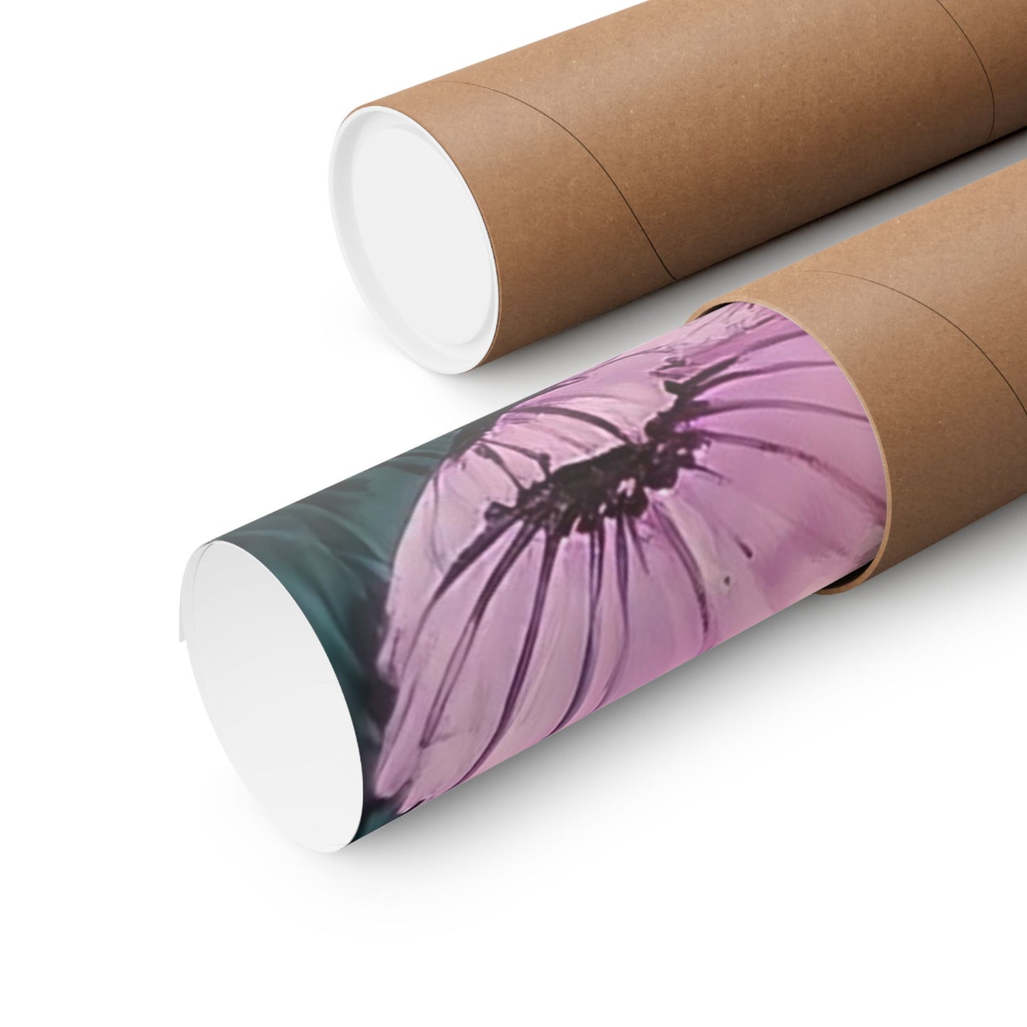 Fields Of Purple Flowers Poster