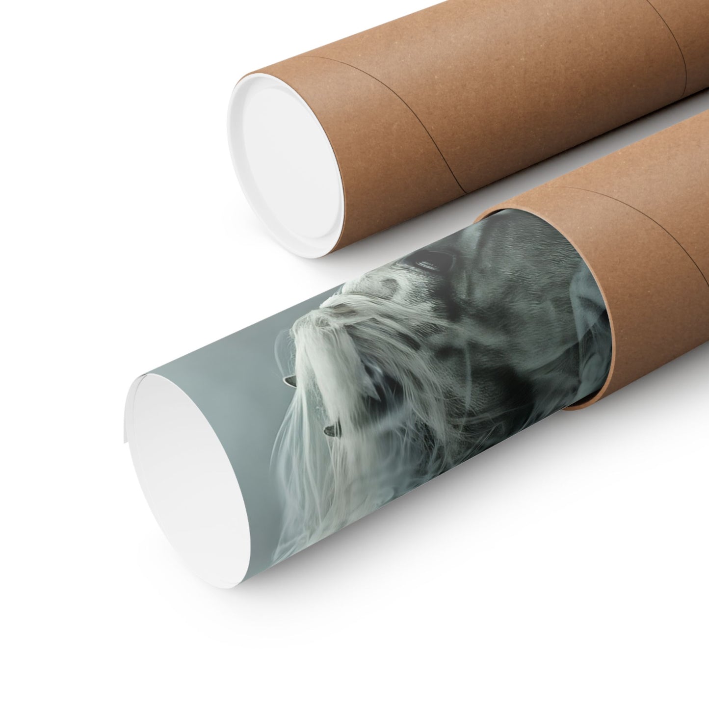 Ethereal Horse In Mist Poster