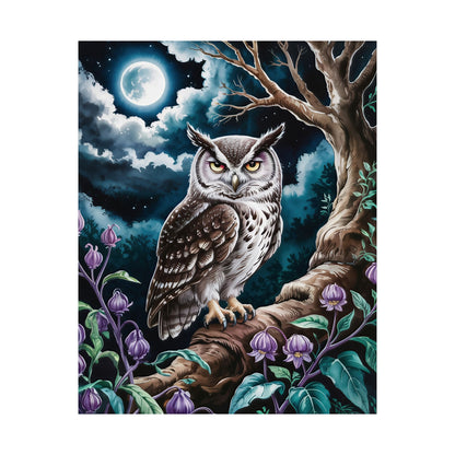 Night Owl Poster