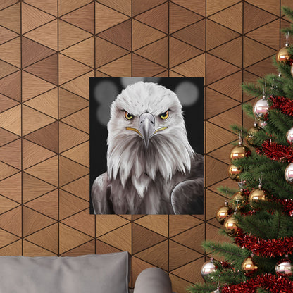 Bald Eagle Portrait Poster