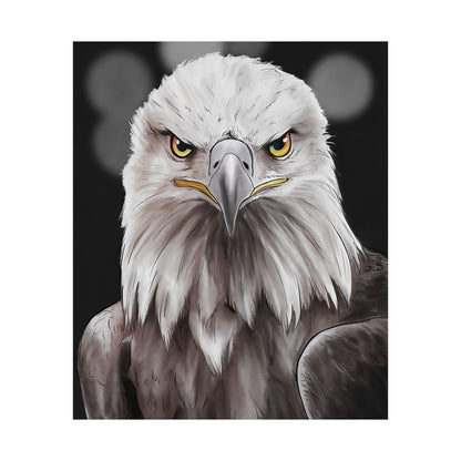 Bald Eagle Portrait Poster
