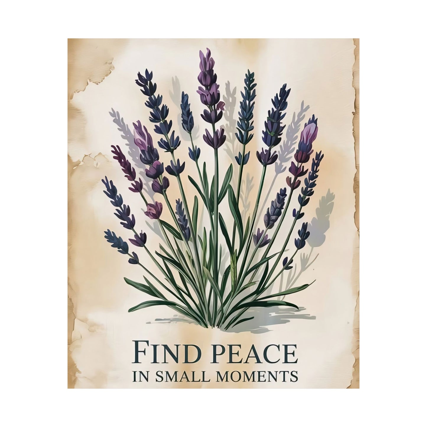 Find Peace In Small Moments Poster