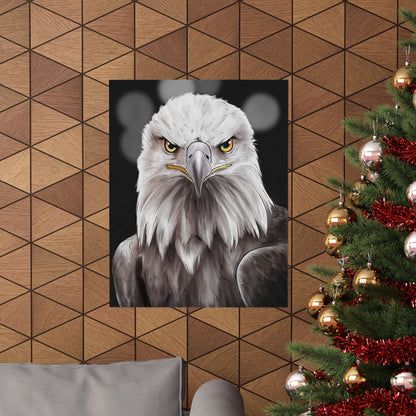 Bald Eagle Portrait Poster