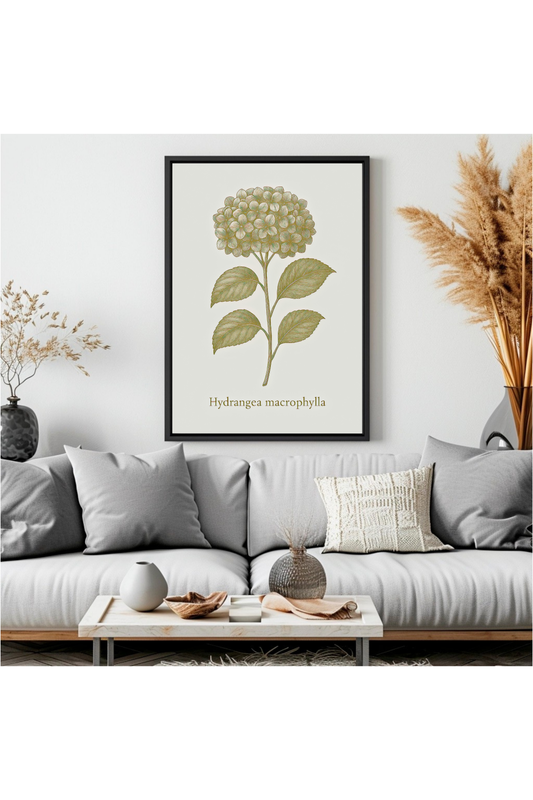 Vintage Hydrangea Botanical Wall Art Elegant Floral Print for Garden Lovers and Nature Inspired Decor