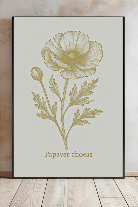 Vintage Poppy Botanical Wall Art – Elegant Floral Print for Nature Lovers
