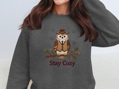 Stay Cozy Owl Embroidery Sweater with Owl Design