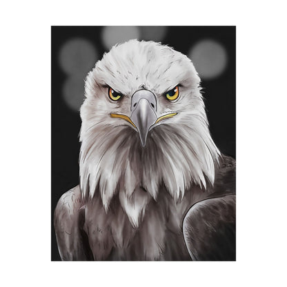 Bald Eagle Portrait Poster