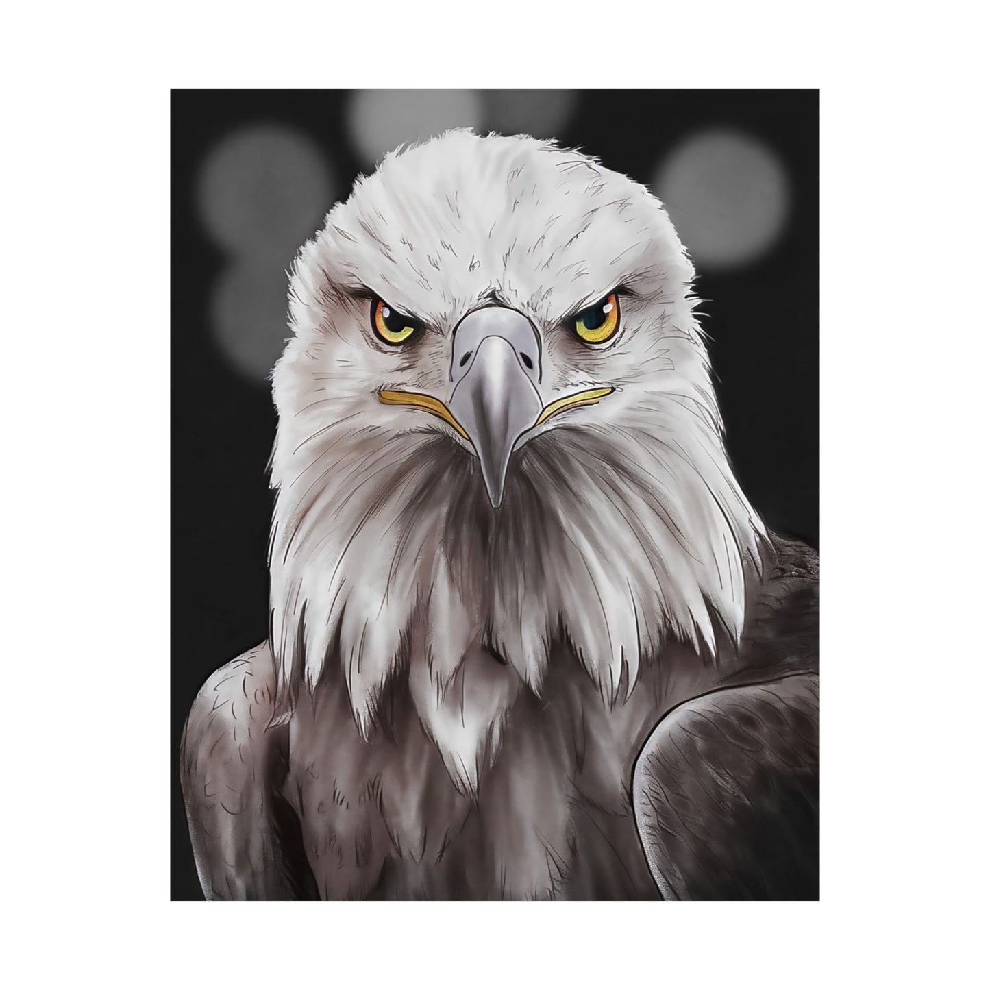 Bald Eagle Portrait Poster