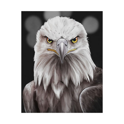 Bald Eagle Portrait Poster