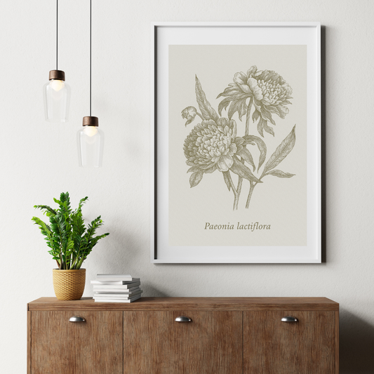 Vintage Peony Botanical Poster Wall Art for Garden and Nature Lovers