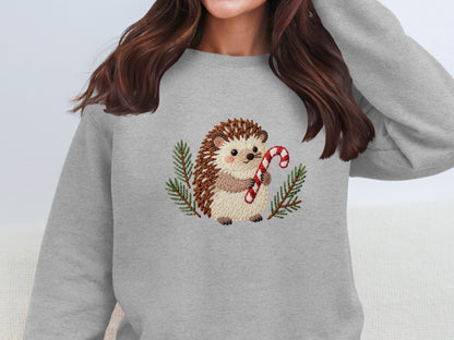 Adorable Hedgehog With Candy Cane Sweatshirt
