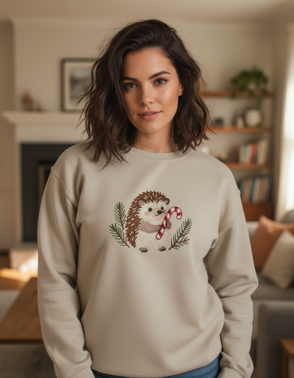 Holiday Hedgehog With Candy Cane Sweatshirt