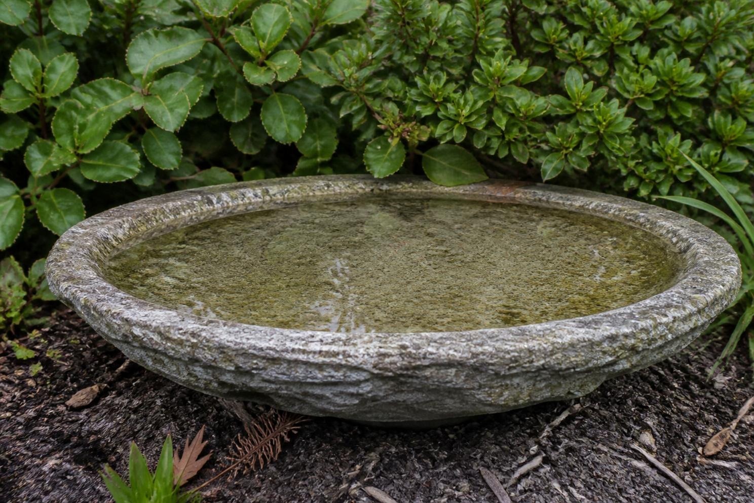 A shallow stone bird bath holding about two inches of water