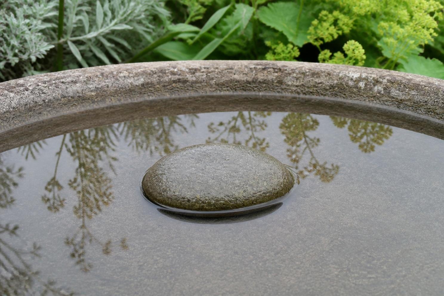 A flat stone set in the middle of a shallow bird bath breaking the water surface