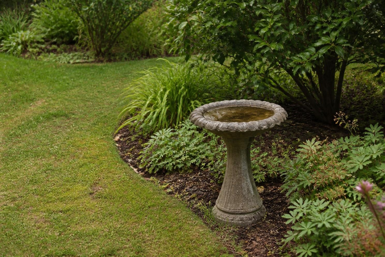 A bird bath at the edge of a garden bed a few feet from a shrub