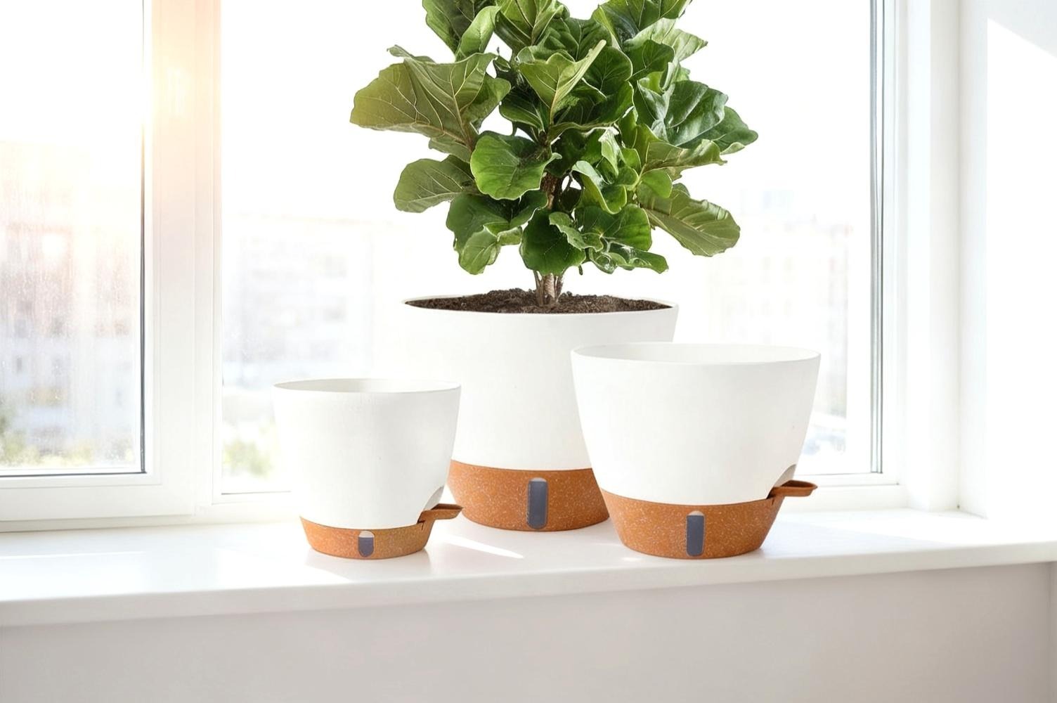 White self-watering planter holding a green houseplant on a bright apartment windowsill