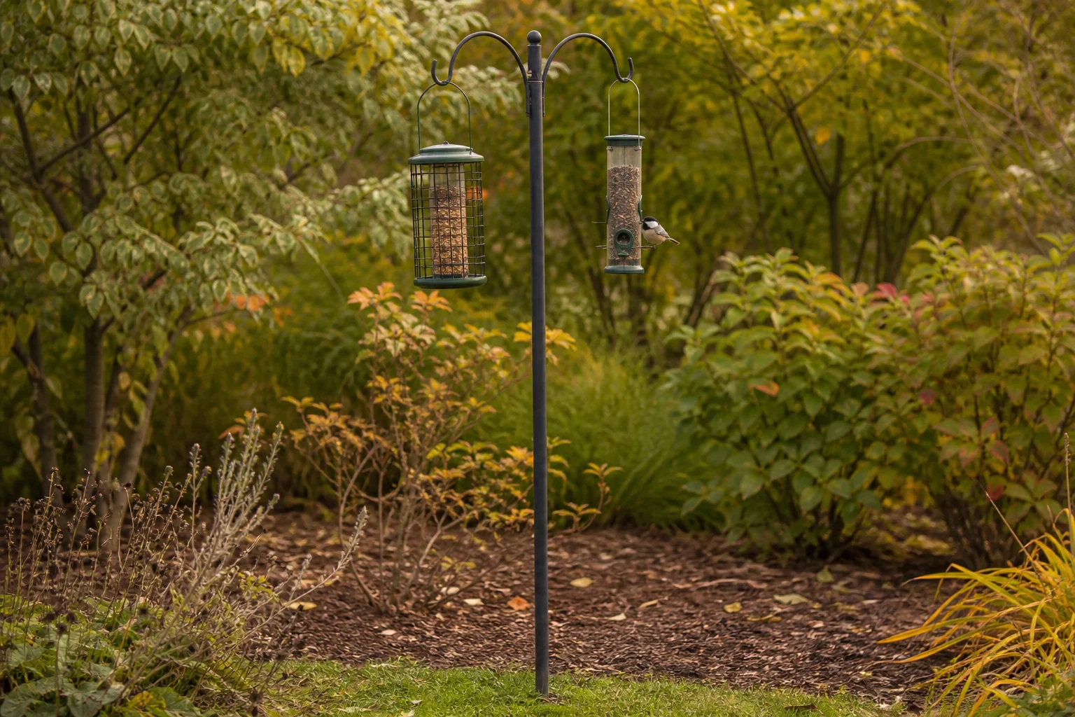 Freestanding bird feeders with open sightlines and shrubs beyond the feeding area