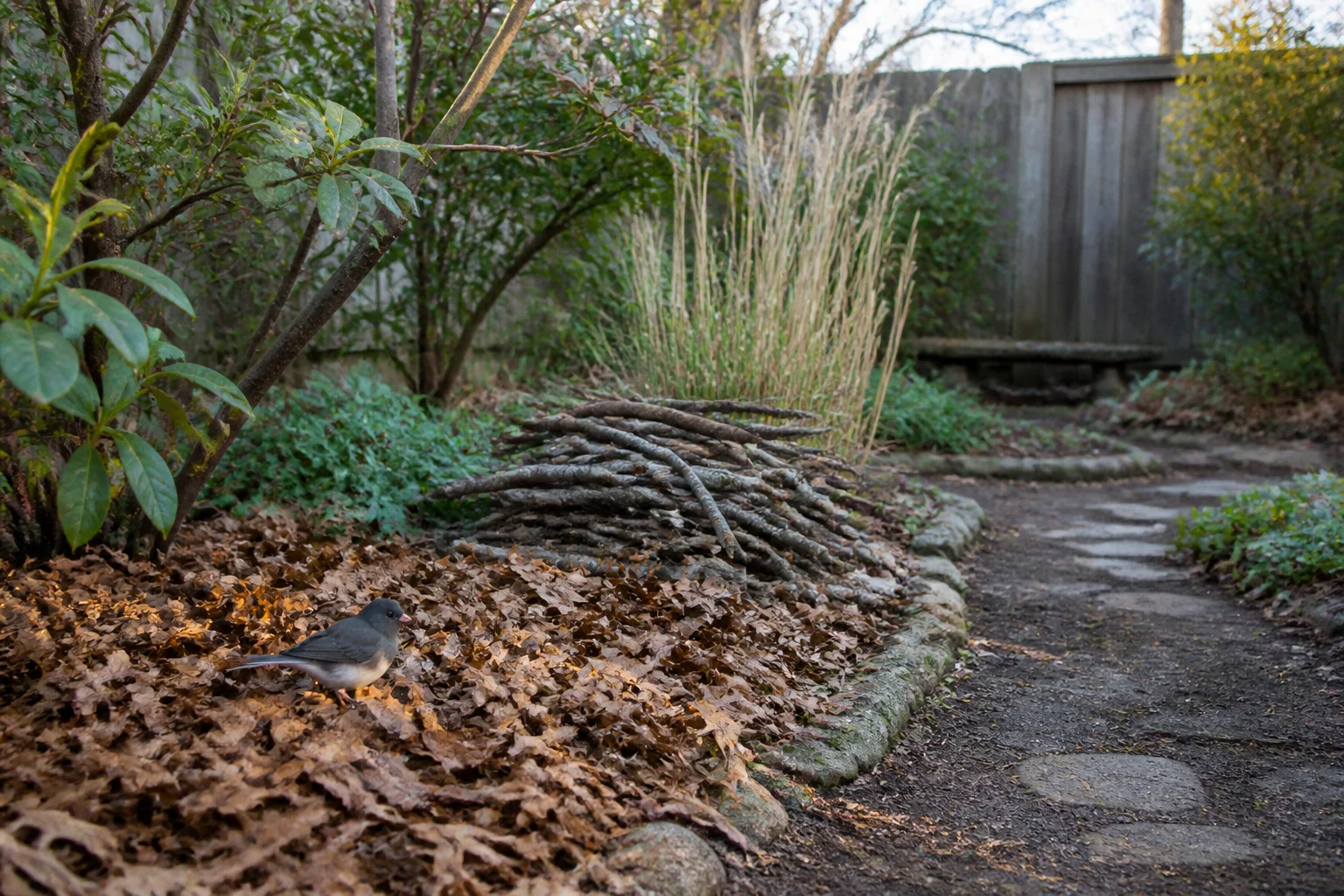 Deliberate backyard habitat corner with clean leaves, sound branches, grasses, and shrubs