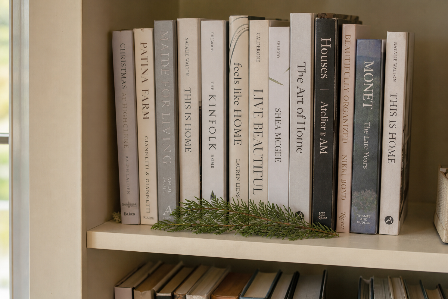 Low evergreen below accessible book spines