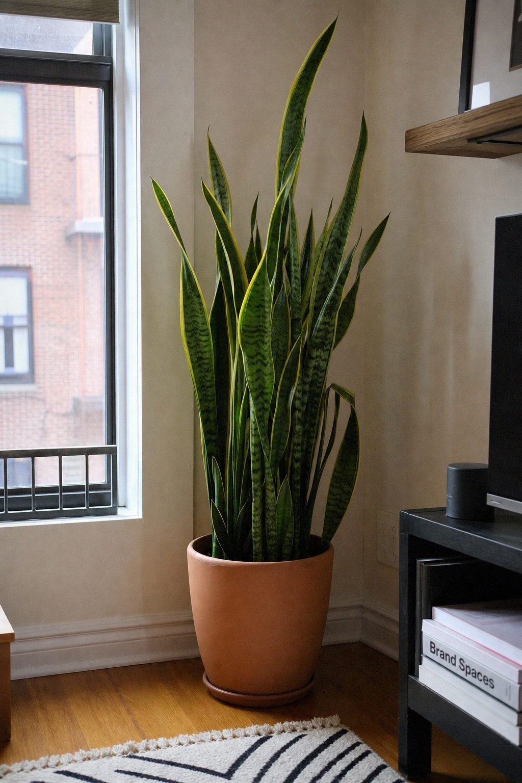 small apartment corner with warm wood side table, woven basket, and terracotta planter in natural light