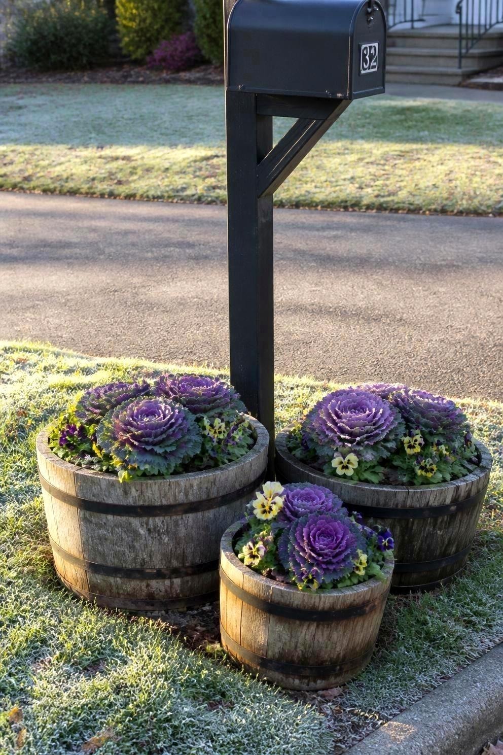 Three low barrel-style planters grouped at the base of a black mailbox post at the curb, planted with purple ornamental kale and violas, light frost on the grass