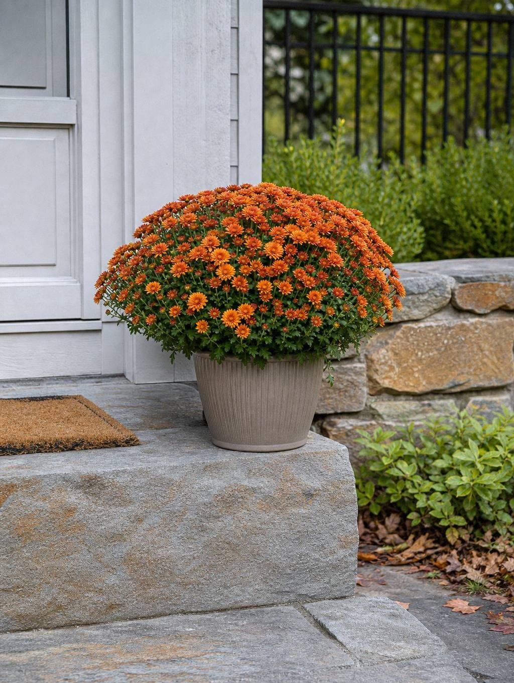 single orange mum in a compact ribbed pot on a stone front step next to a coir mat