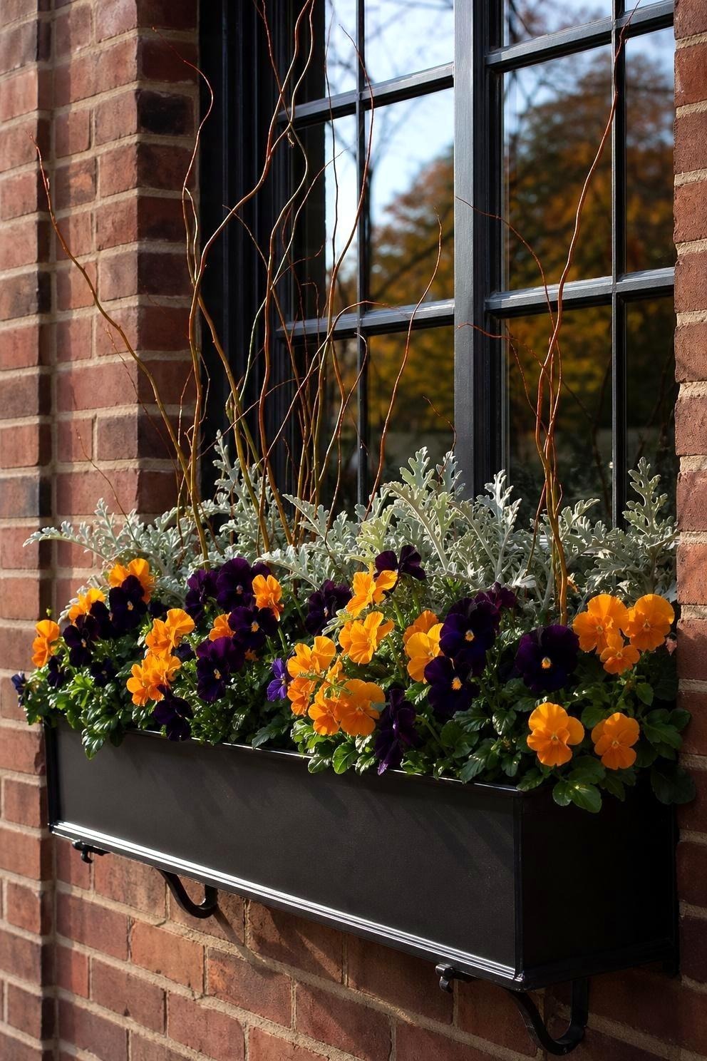 Sunny window box with amber and purple pansies, silver dusty miller, and upright curly willow branches