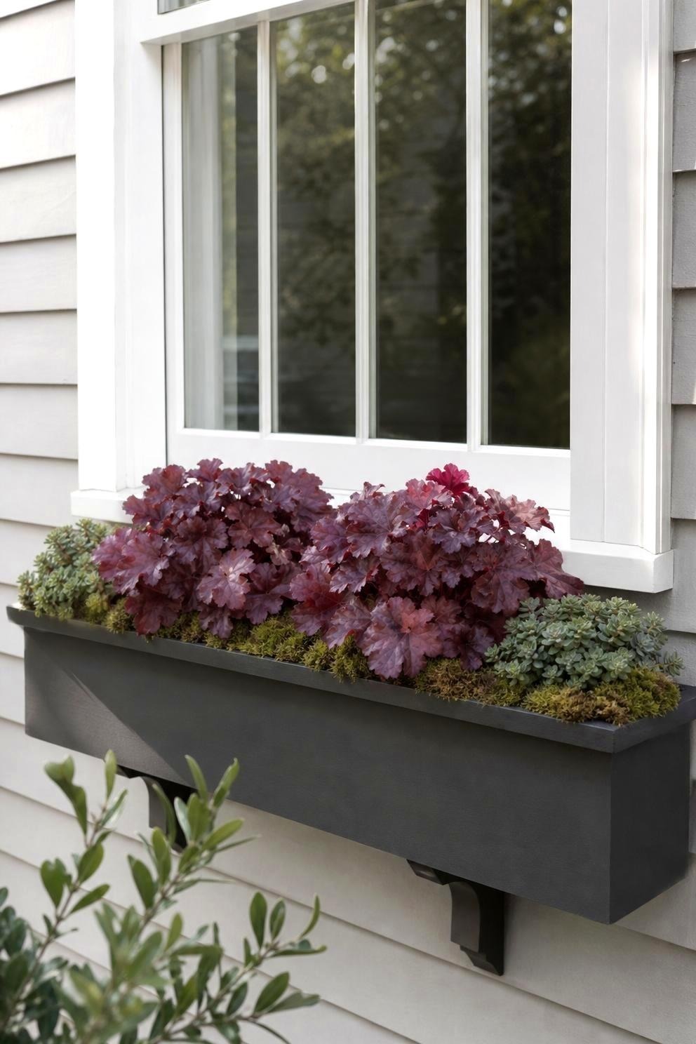 Part-shade fall window box with burgundy heuchera, low green sedum, and a narrow mossed edge