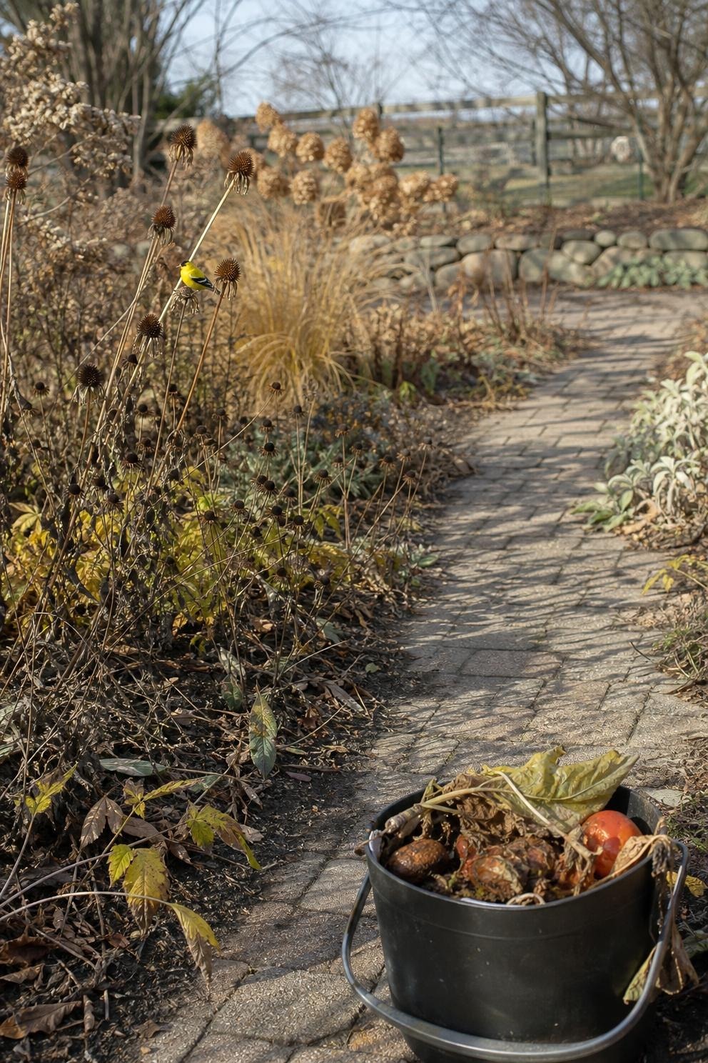 A tidy small fall garden with healthy seed heads left standing and diseased leaves removed