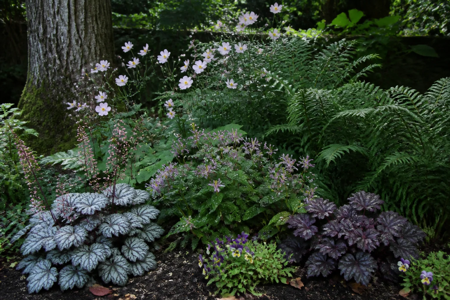 Shaded fall bed with layered foliage, woodland asters, and a clean path edge