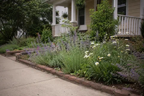 Front Yard Cottage Garden Edges That Still Look Tidy From the Street