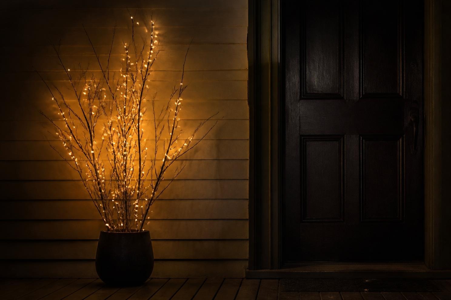 Bare black branches strung with small lights glowing beside a dark doorway