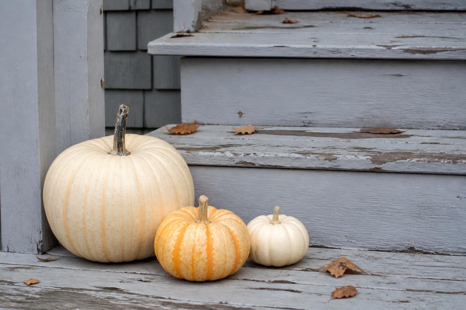Cream and pale orange pumpkins in mixed sizes clustered at the base of a porch step